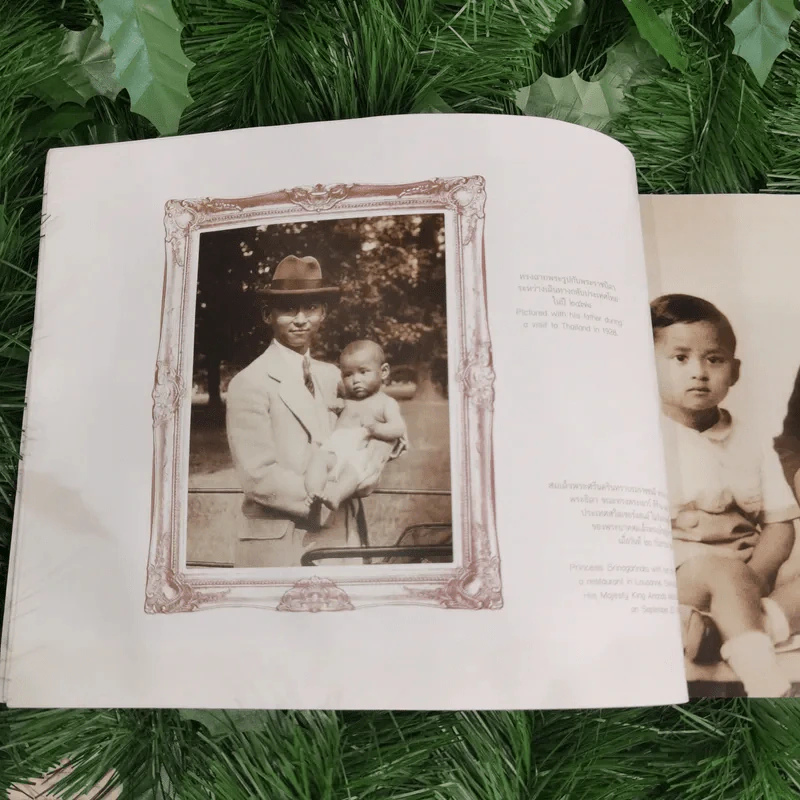 สมุดภาพสรรเสริญพระบารมี เอกบรมจักริน พระสยามินทร์ พระยศยิ่งยง รูปที่ 11