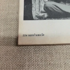 นอกกำแพงวัด - พล ผลาพิบูลย์ รูปที่ 10