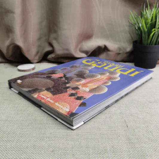 Antoni Gaudi - Cristina Montes Aurora Cuito รูปที่ 4