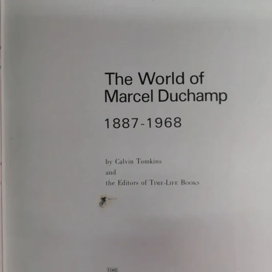 The World of Duchamp รูปที่ 7