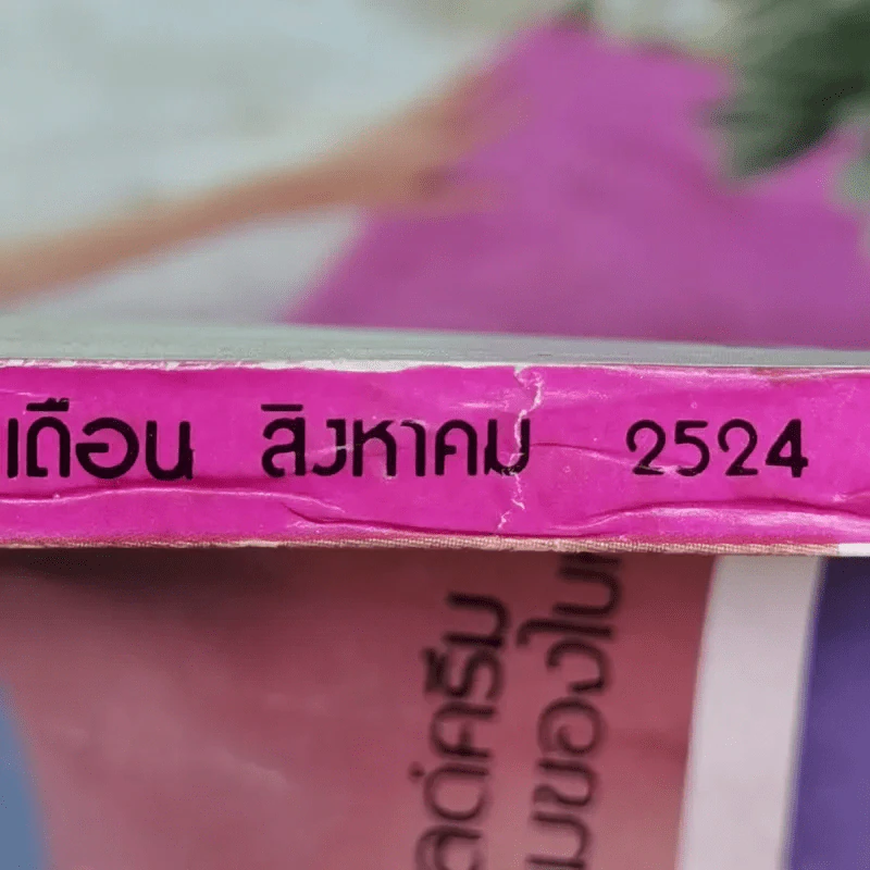 ขวัญเรือน ปีที่ 13 ฉบับที่ 232 ส.ค.2524 รูปที่ 5