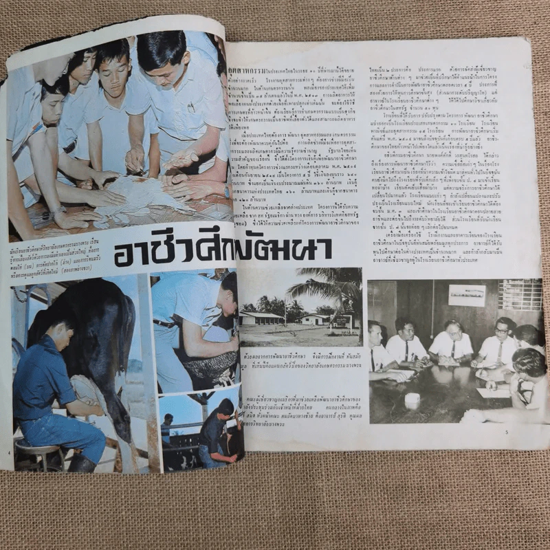 เสรีภาพ ปีที่ 20 ฉบับที่ 4 รูปที่ 8