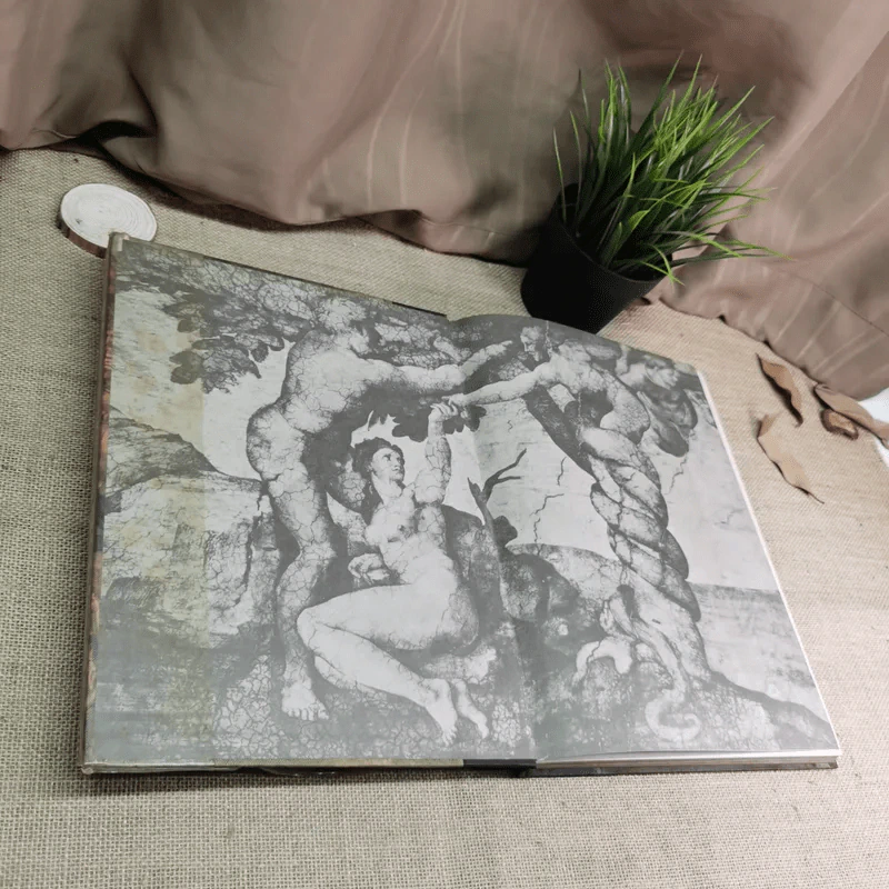 The World of Michelangelo รูปที่ 4