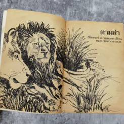 ตามล่า ชีวิตการผจญภัยของสิงห์หนุ่ม รูปที่ 8