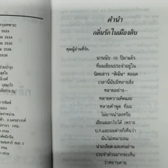 กลิ่นรักในเมืองดิบ - อีแร้ง รูปที่ 9