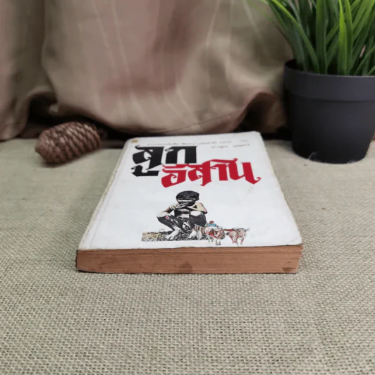 ลูกอีสาน - คำพูน บุญทวี รูปที่ 4