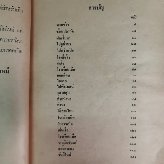 เด็กบ้านทุ่ง - สยุมพร บุตรนา รูปที่ 11