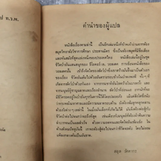 ตามล่า ชีวิตการผจญภัยของสิงห์หนุ่ม รูปที่ 10
