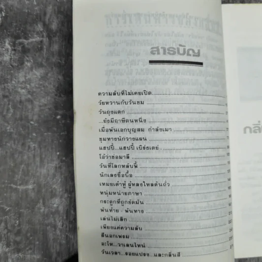 กลิ่นสีและกาวแป้ง - พิษณุ ศุภ รูปที่ 11