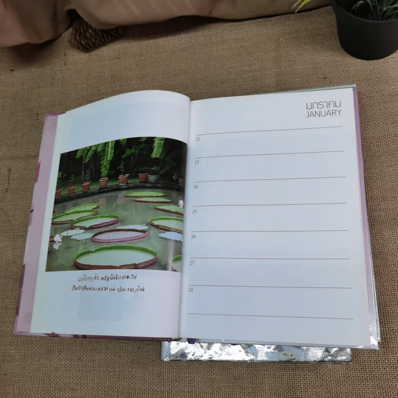 ครัวสระปทุม Diary 2549/2006-2550/2007, ในร่มเงาวังสระปทุม - สิรินธร รูปที่ 22