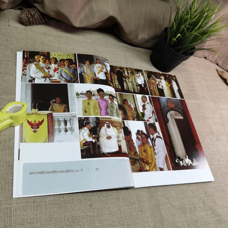ทรงพระเจริญ ประมวลภาพ พระราชพิธีฉลองสิริราชสมบัติครบ 60 ปี รูปที่ 10