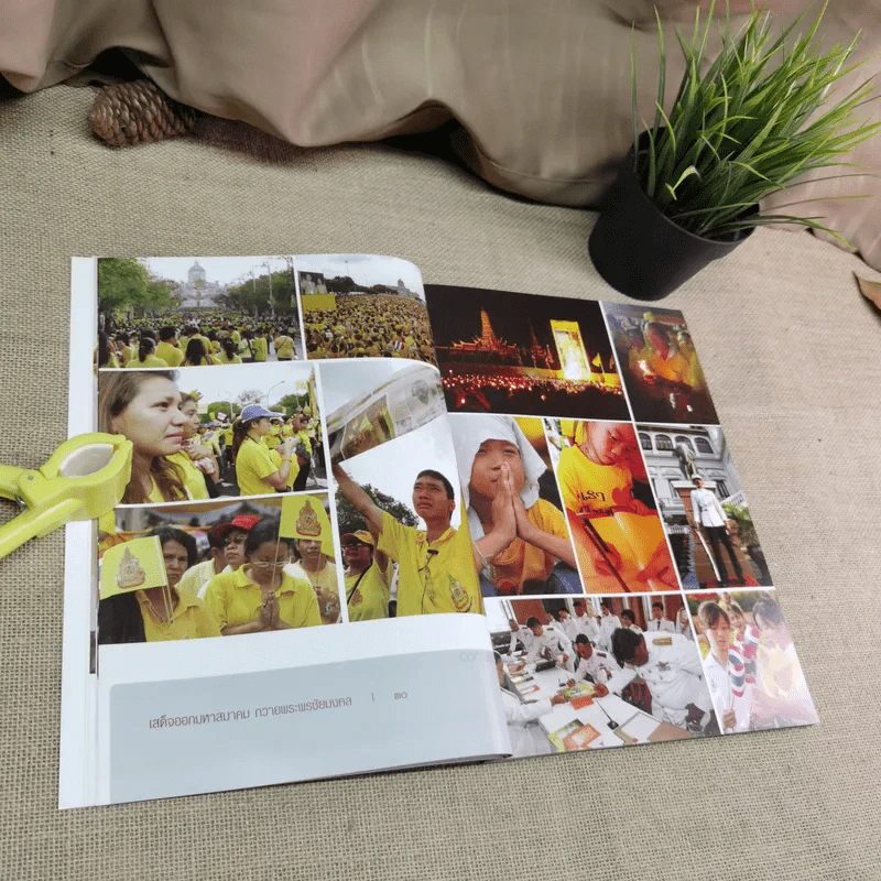 ทรงพระเจริญ ประมวลภาพ พระราชพิธีฉลองสิริราชสมบัติครบ 60 ปี รูปที่ 13