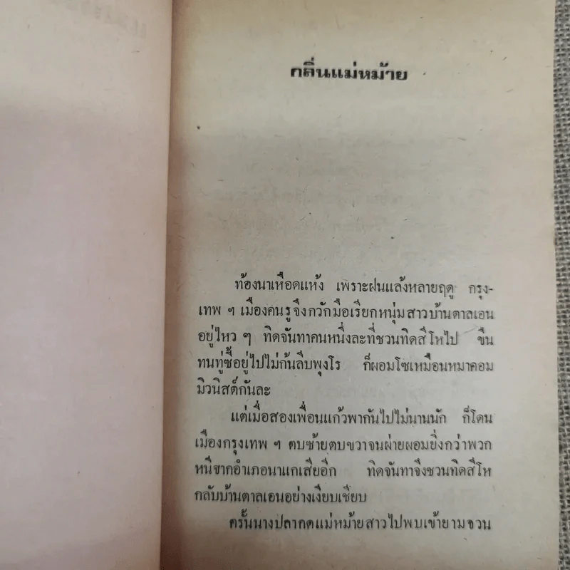 แม่หม้ายที่รัก - คำพูน บุญทวี รูปที่ 12