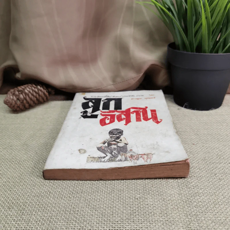 ลูกอีสาน - คำพูน บุญทวี รูปที่ 4