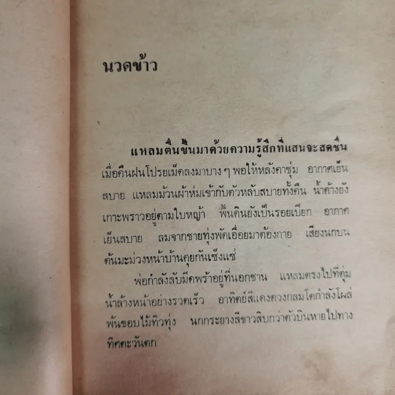 เด็กบ้านทุ่ง - สยุมพร บุตรนา รูปที่ 12