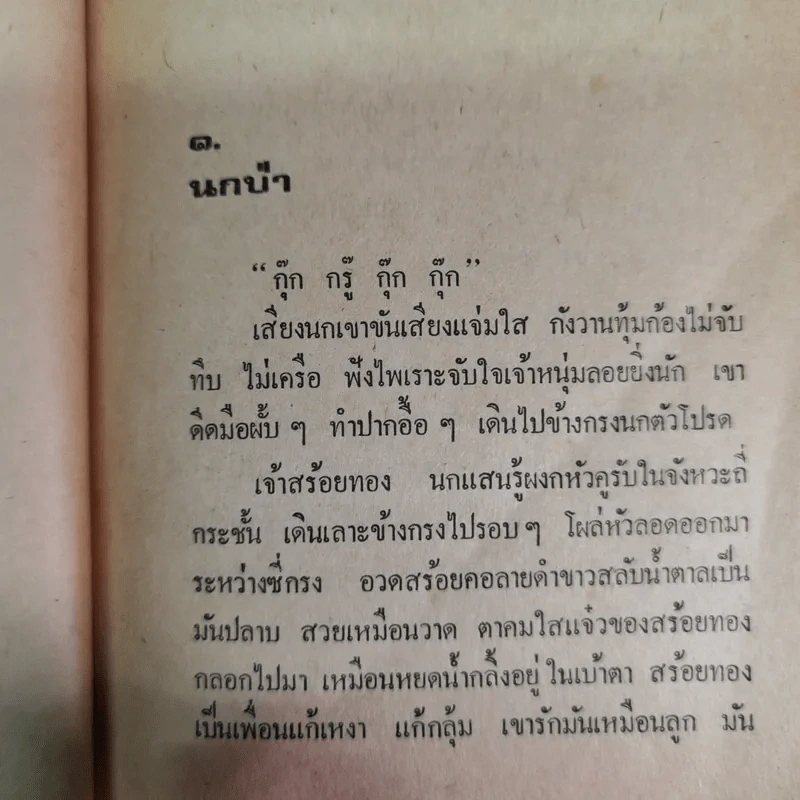 สร้อยทอง - นิมิตร ภูมิถาวร รูปที่ 14