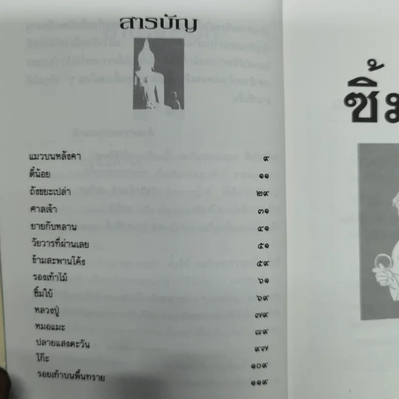 ซิ้มใบ้ - ประภัสสร เสวิกุล รูปที่ 11