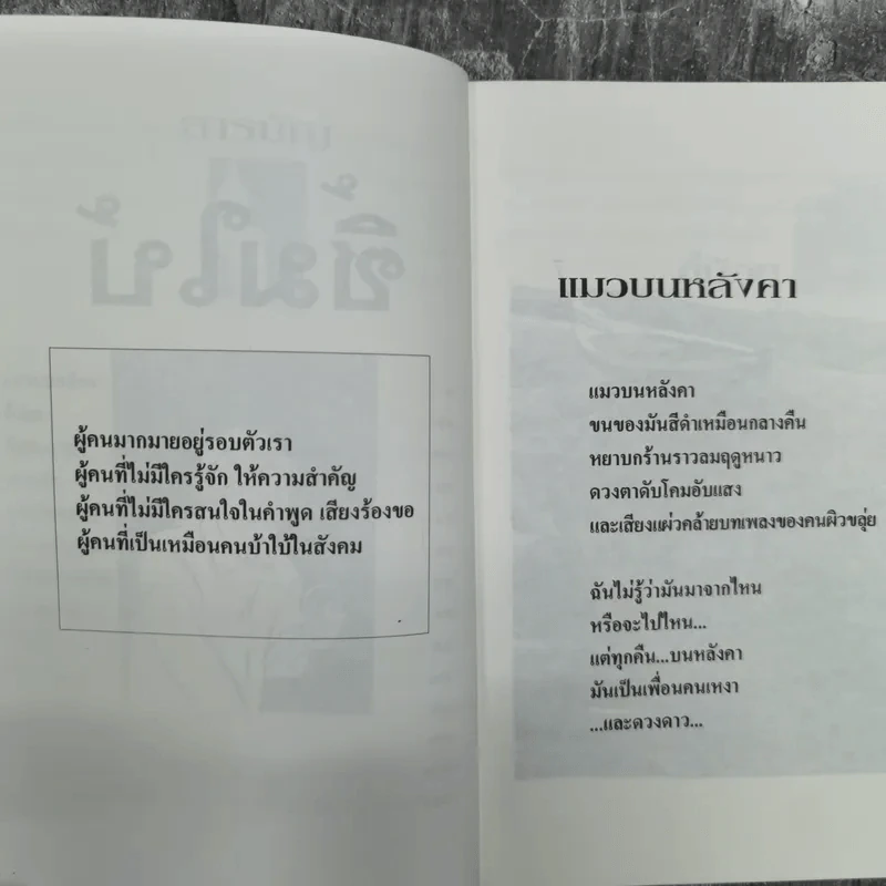 ซิ้มใบ้ - ประภัสสร เสวิกุล รูปที่ 12