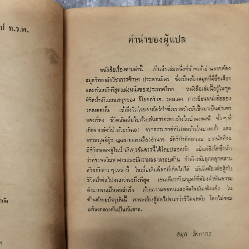 ตามล่า ชีวิตการผจญภัยของสิงห์หนุ่ม รูปที่ 10