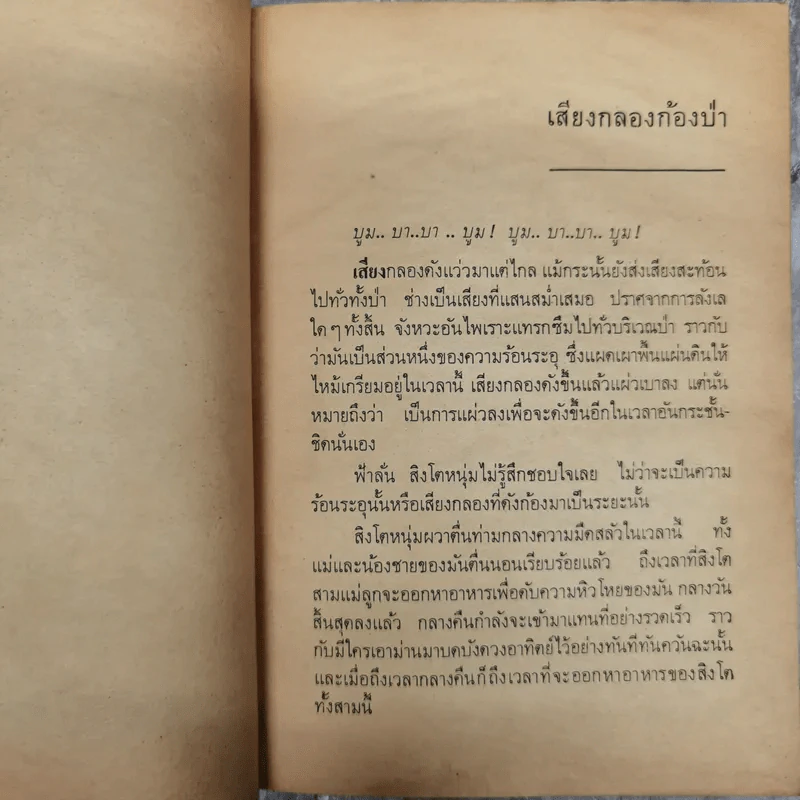 ตามล่า ชีวิตการผจญภัยของสิงห์หนุ่ม รูปที่ 12