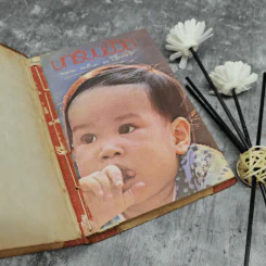บทเรียนชีวิต - นายตำรา ณ เมืองใต้ รูปที่ 1
