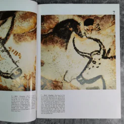 Discovering Lascaux รูปที่ 10