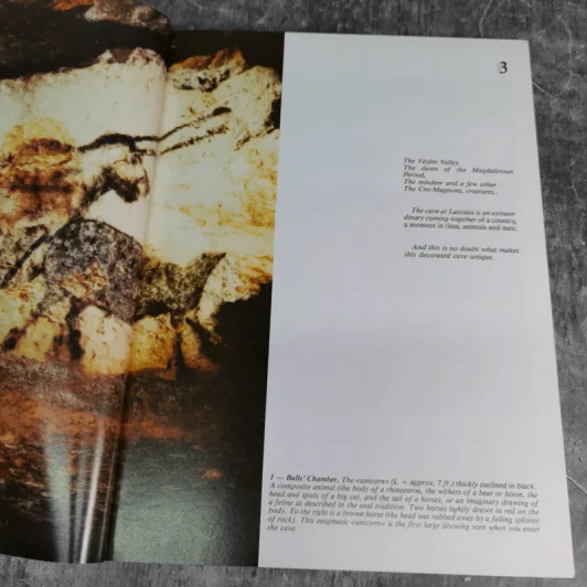 Discovering Lascaux รูปที่ 8