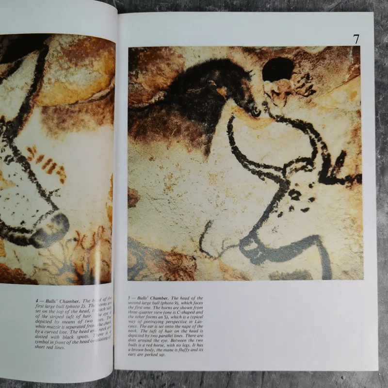 Discovering Lascaux รูปที่ 10