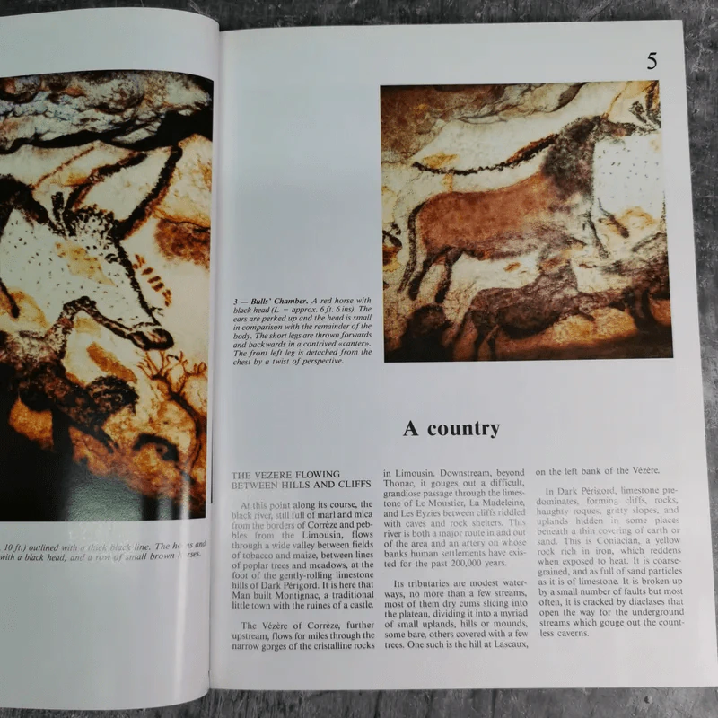 Discovering Lascaux รูปที่ 9