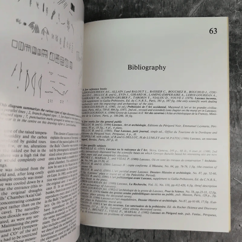 Discovering Lascaux รูปที่ 12