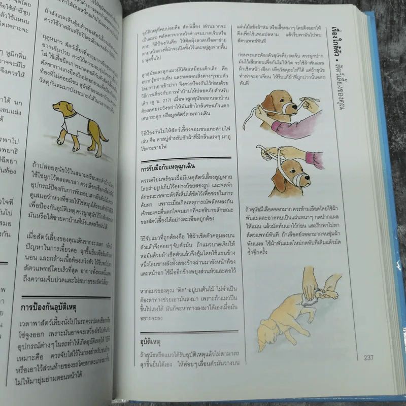 เคล็ดลับน่ารู้คู่บ้านและครอบครัว รูปที่ 14