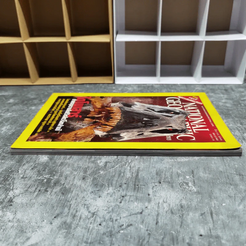 National Geographic มี.ค.2546 ไดโนเสาร์ชำแหละความลับชีวิตสัตว์โลกล้านปี รูปที่ 4