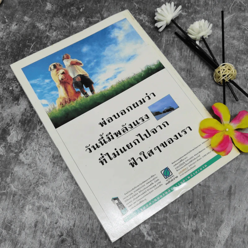 ร่มโพธิ์แก้ว ปีที่ 5 ฉบับที่ 26 มี.ค.-เม.ย.2541 รูปที่ 2