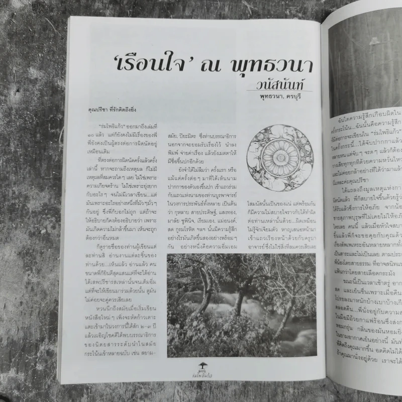 ร่มโพธิ์แก้ว ปีที่ 2 ฉบับที่ 11 พ.ศ.2538 รูปที่ 12
