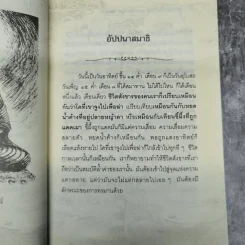 อัตตา อัดตาย รูปที่ 11