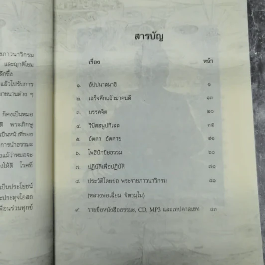 อัตตา อัดตาย รูปที่ 10