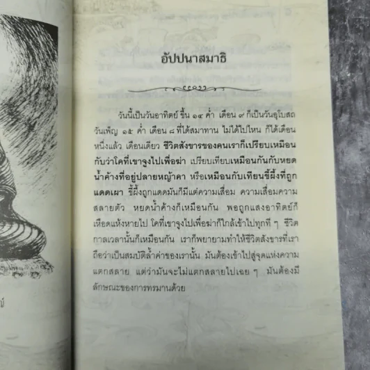 อัตตา อัดตาย รูปที่ 11