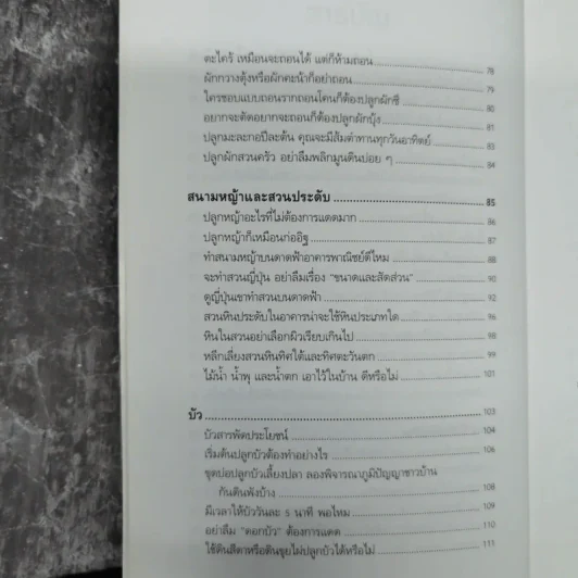 บ้านกับต้นไม้ - ยอดเยี่ยม เทพธรานนท์ รูปที่ 11