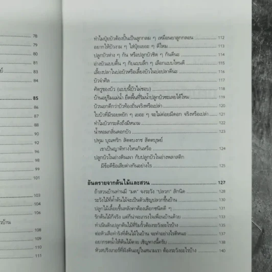 บ้านกับต้นไม้ - ยอดเยี่ยม เทพธรานนท์ รูปที่ 12