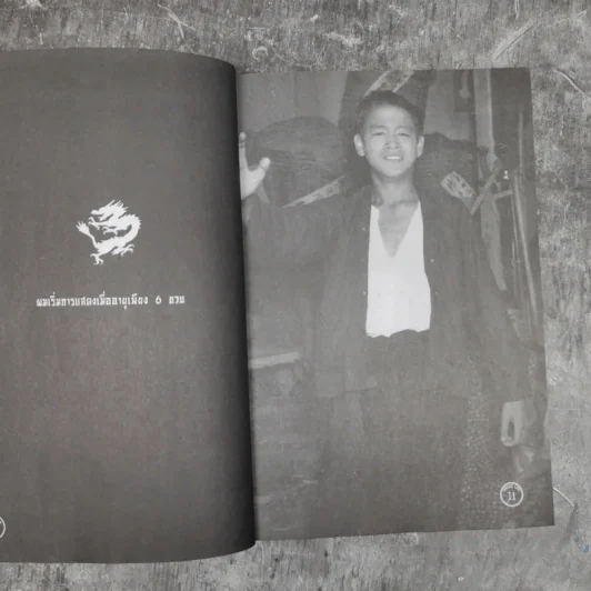 จอมยุทธบรู๊ซ ลี - บรู๊ซ ลี รูปที่ 13