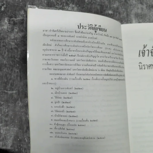 เจ้าจันท์ผมหอม นิราศพระธาตุอินทร์แขวน - มาลา คำจันทร์ รูปที่ 8