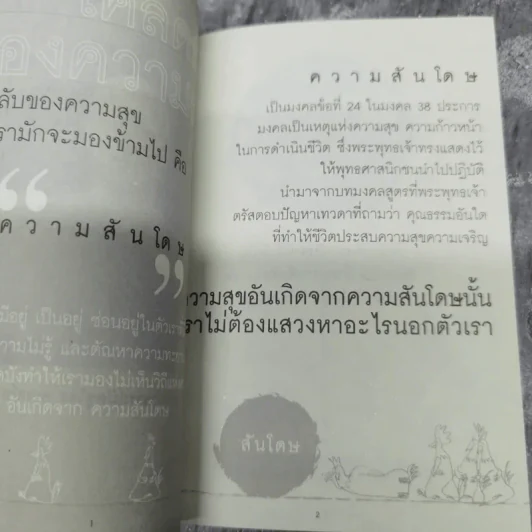 สันโดษ เคล็ดลับของความสุข - พระอาจารย์มิตซูโอะ คเวสโก รูปที่ 9
