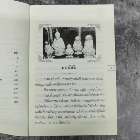 ธรรมปฏิบัติ เล่ม 46 รวมธรรมเทศนาของหลวงพ่อพระราชพรหมยาน รูปที่ 5