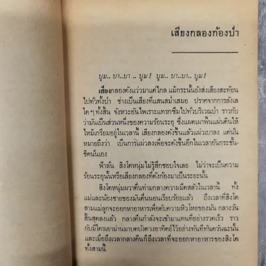 ตามล่า ชีวิตการผจญภัยของสิงห์หนุ่ม รูปที่ 10