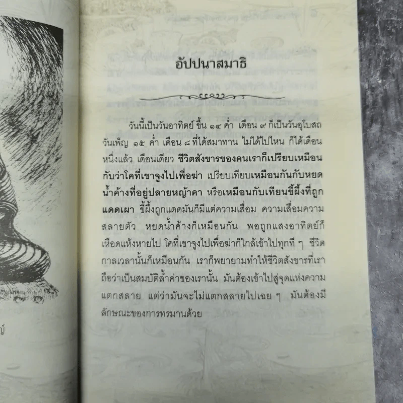 อัตตา อัดตาย รูปที่ 11