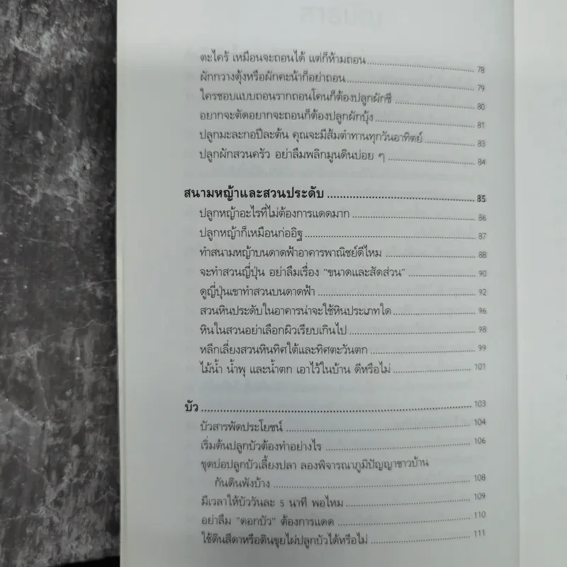 บ้านกับต้นไม้ - ยอดเยี่ยม เทพธรานนท์ รูปที่ 11