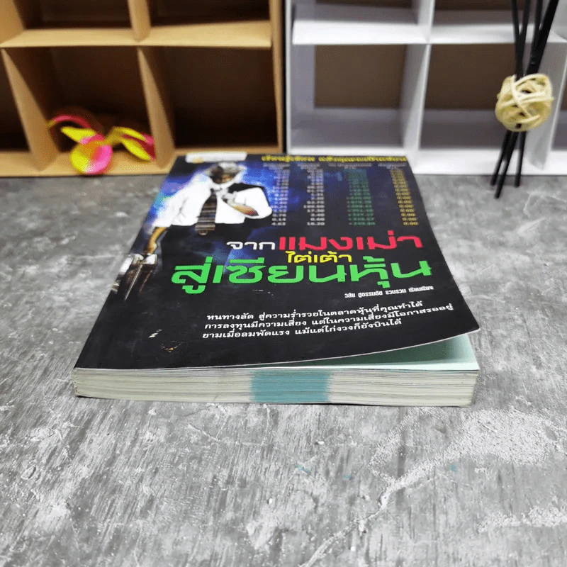 จากแมงเม่าไต่เต้าสู่เซียนหุ้น - วลัย ชูธรรมรัช รูปที่ 4