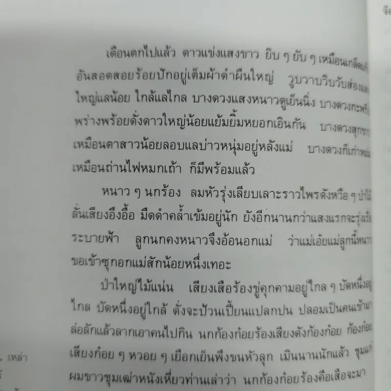 เจ้าจันท์ผมหอม นิราศพระธาตุอินทร์แขวน - มาลา คำจันทร์ รูปที่ 14
