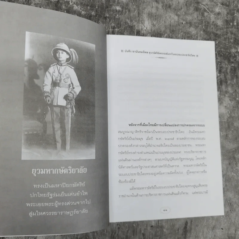 บันทึกอานันทมหิดล - ราชทิตย์ ภพสยบ รูปที่ 13
