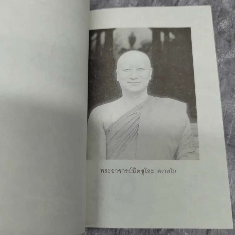 สันโดษ เคล็ดลับของความสุข - พระอาจารย์มิตซูโอะ คเวสโก รูปที่ 8